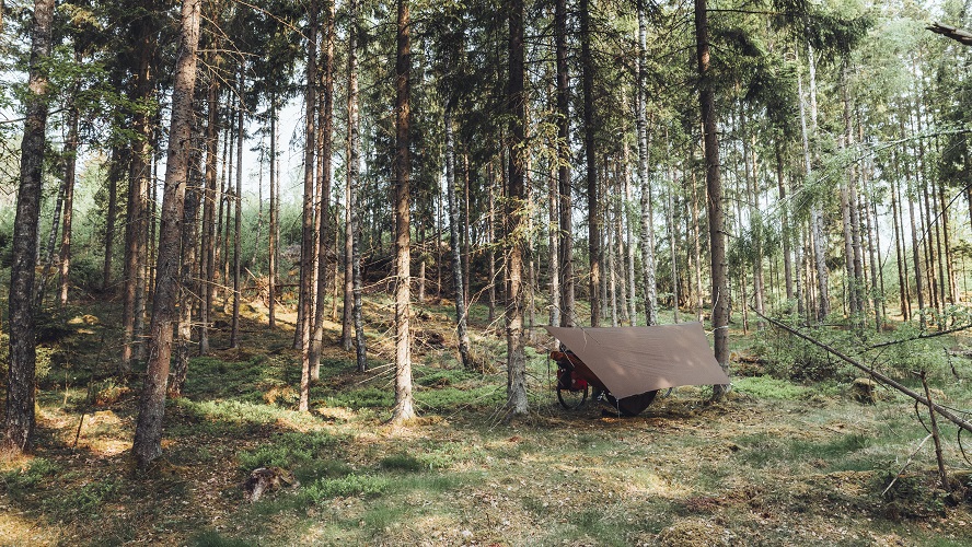 Nocleg w lesie na trasie pod tarpem